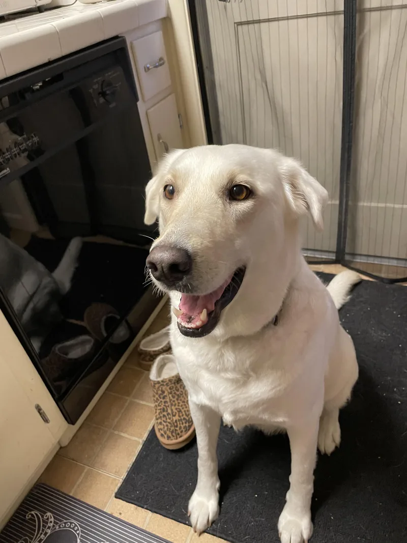 Luna Grace thumbnail 6