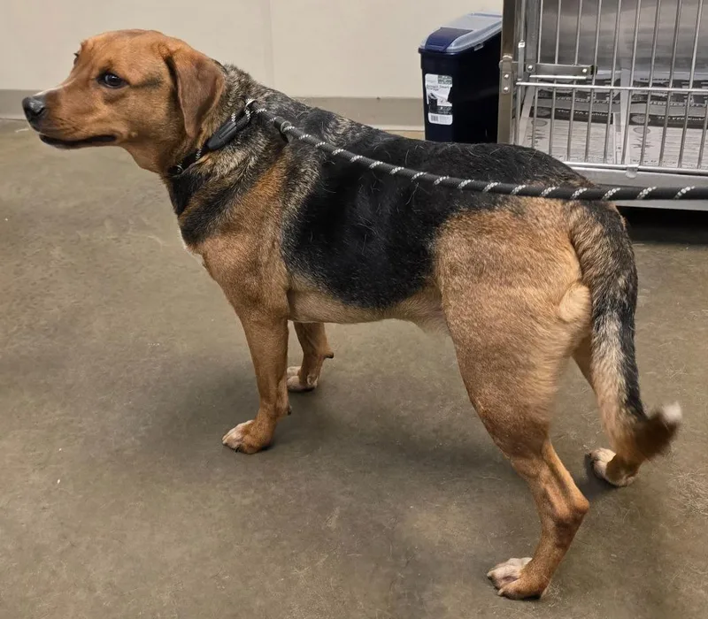 Billy Ray thumbnail 2