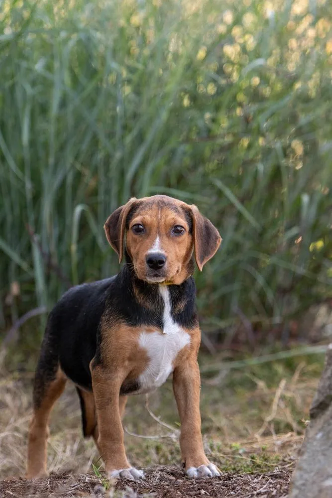 Billy Ray thumbnail 3