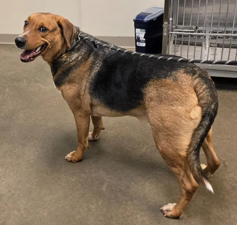 Billy Ray thumbnail 4