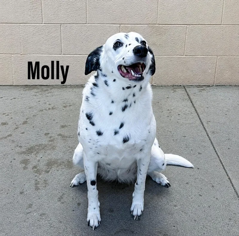 Molly