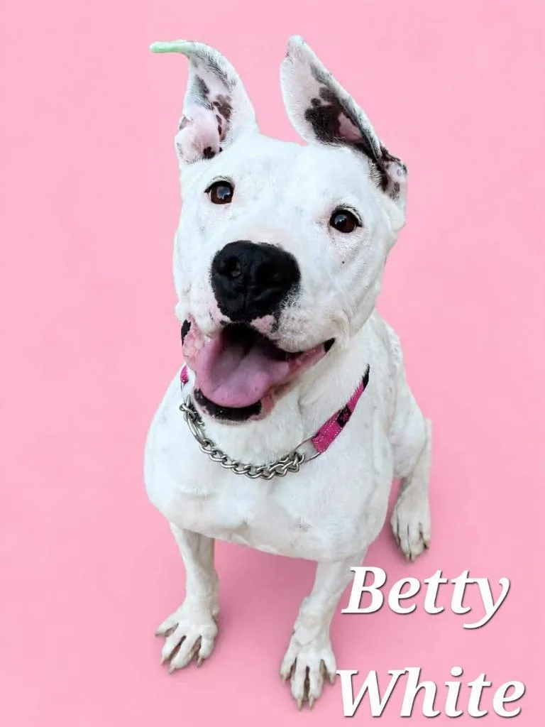 Betty White thumbnail 2