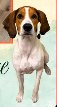 Daisy Mae thumbnail 3