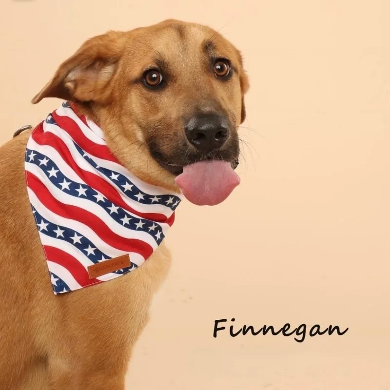 Mr. Happy Finnegan thumbnail 2