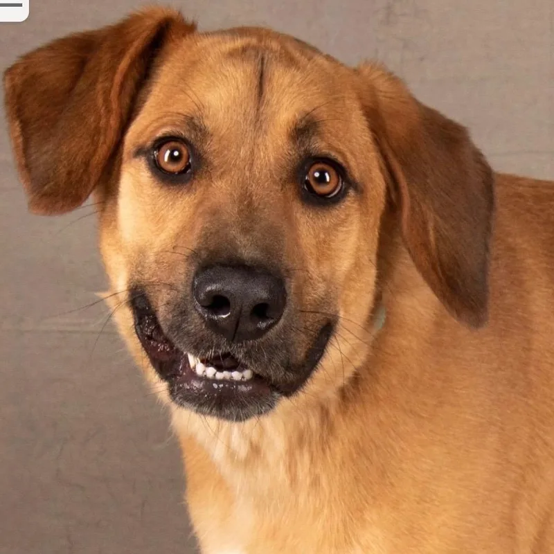 Mr. Happy Finnegan thumbnail 5