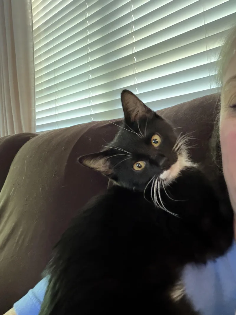 Perri thumbnail 2