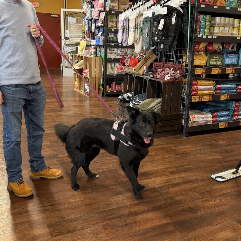 Michella thumbnail 2