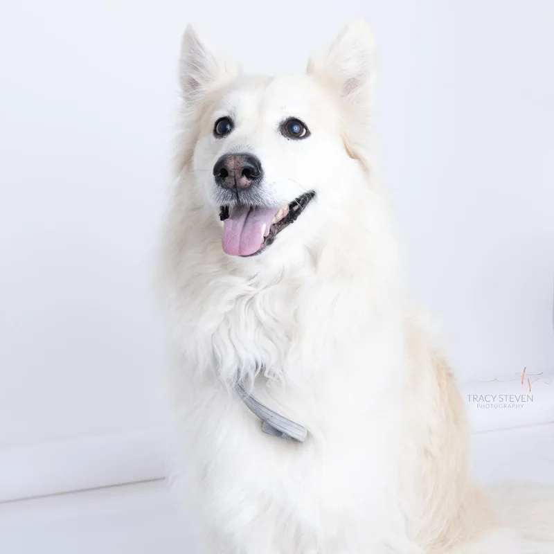 NALA will win your thumbnail 4