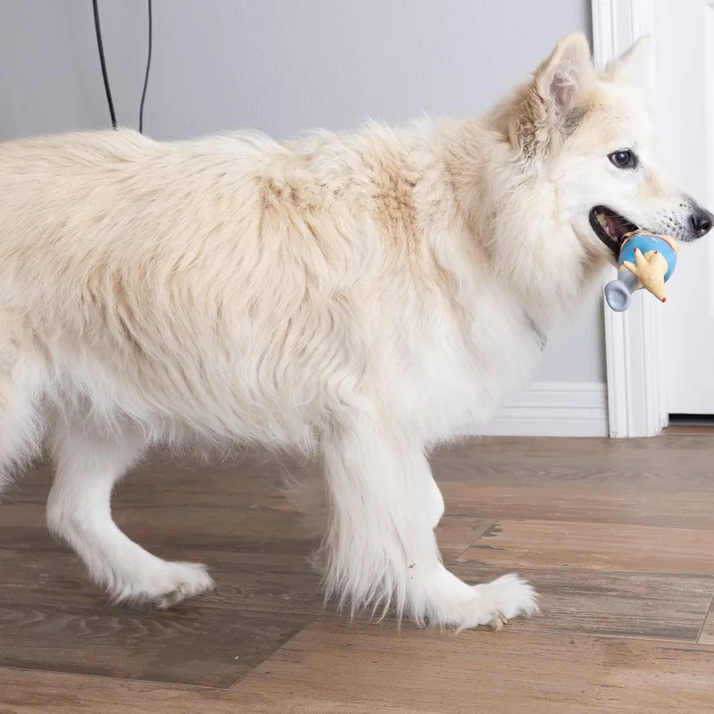 NALA will win your thumbnail 5