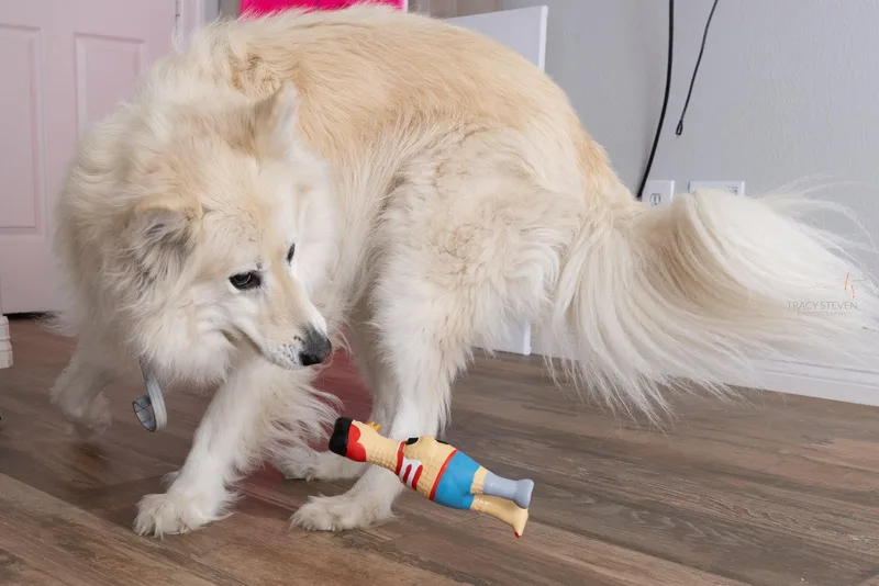 NALA will win your thumbnail 6