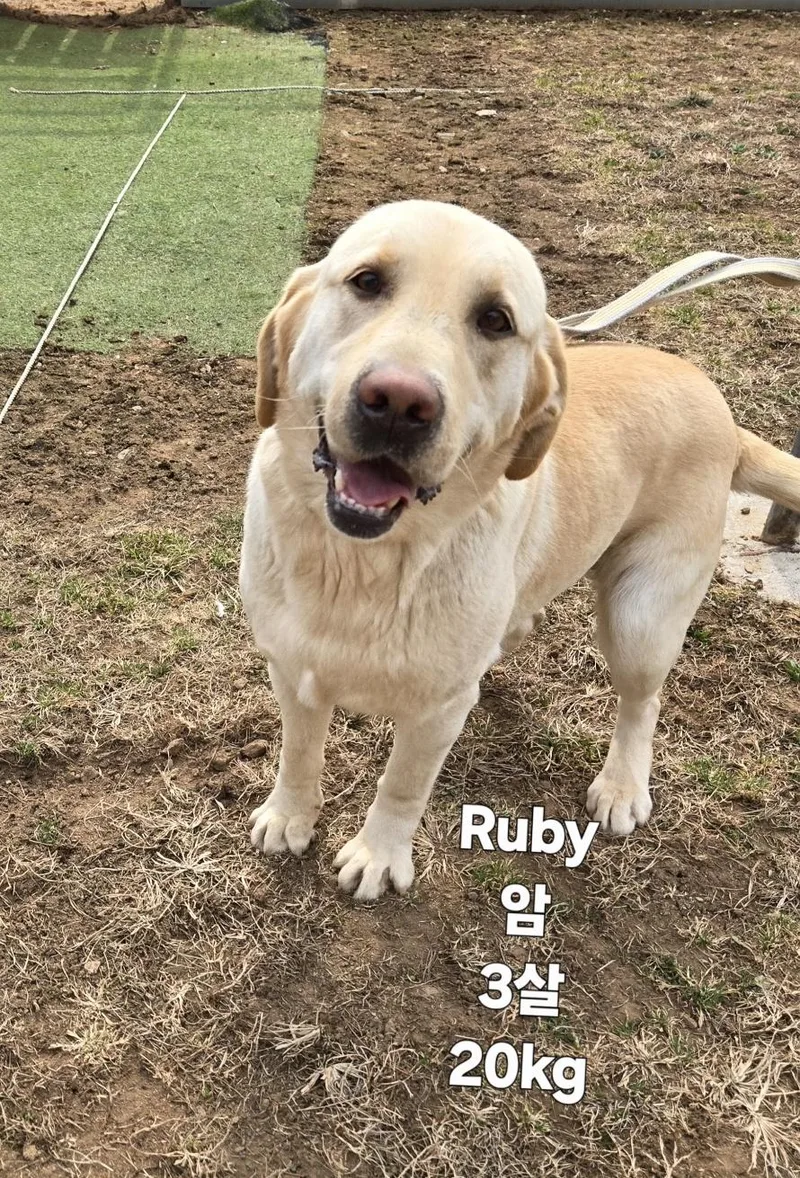 Ruby thumbnail 2
