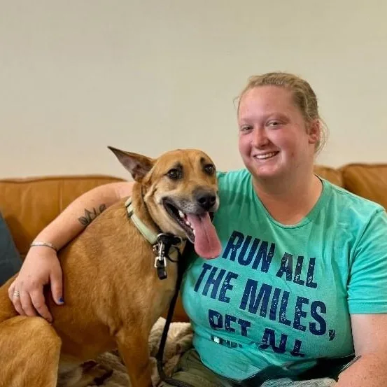 A young medium-sized male Yellow / Tan / Blond / Fawn German Shepherd Dog dog named Walter Fitzgerald for adoption in Friendswood, TX