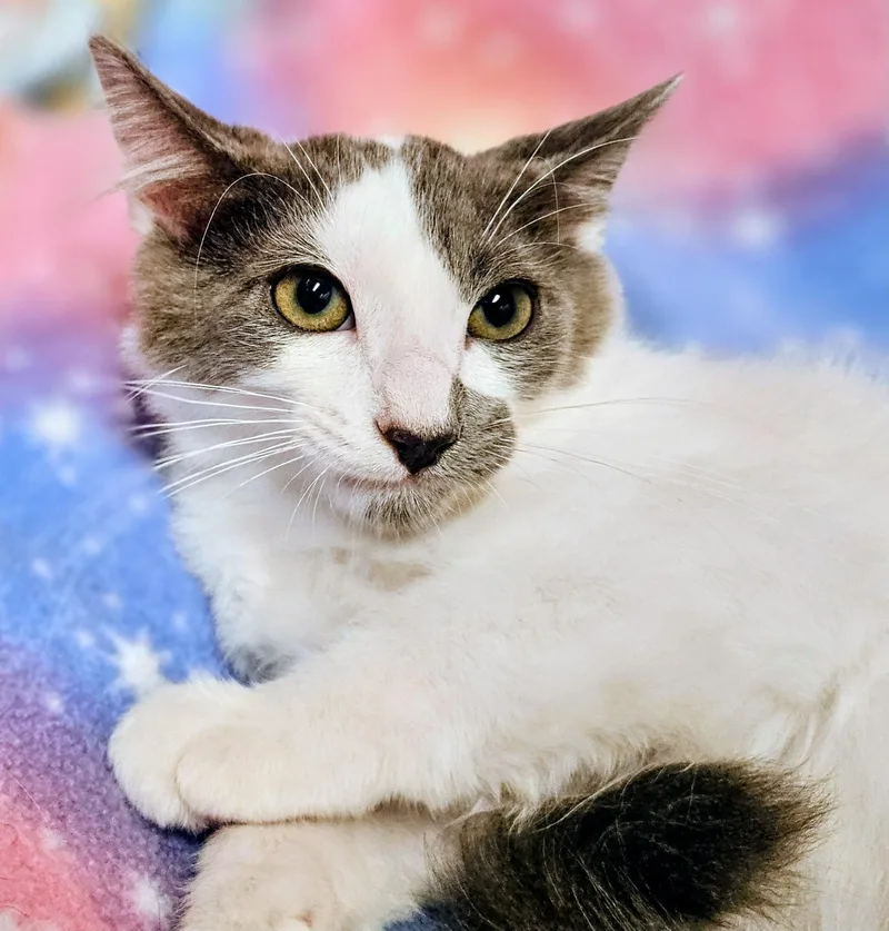 Murphy Rancho Cucamonga