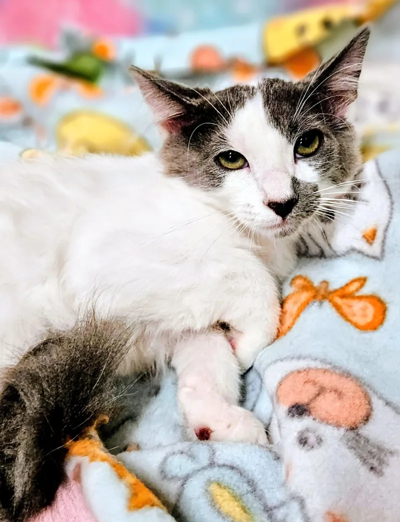 Murphy  Rancho Cucamonga thumbnail 2