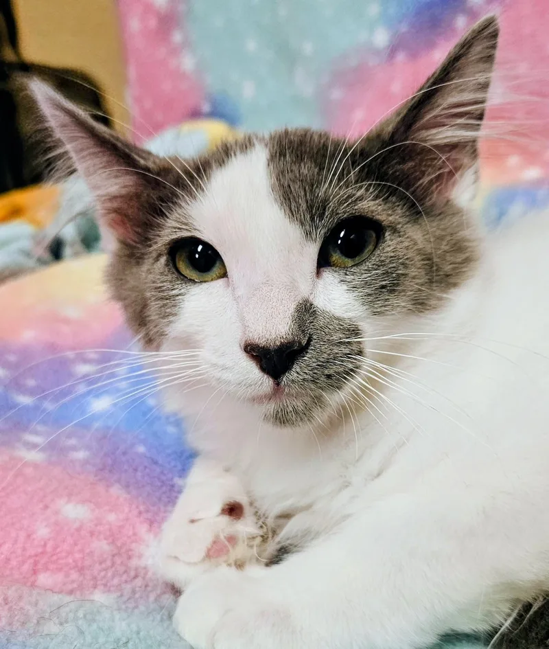 Murphy  Rancho Cucamonga thumbnail 3