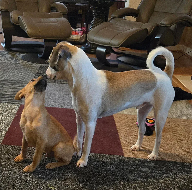 Lenielotto thumbnail 2