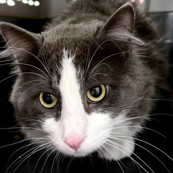 Milton