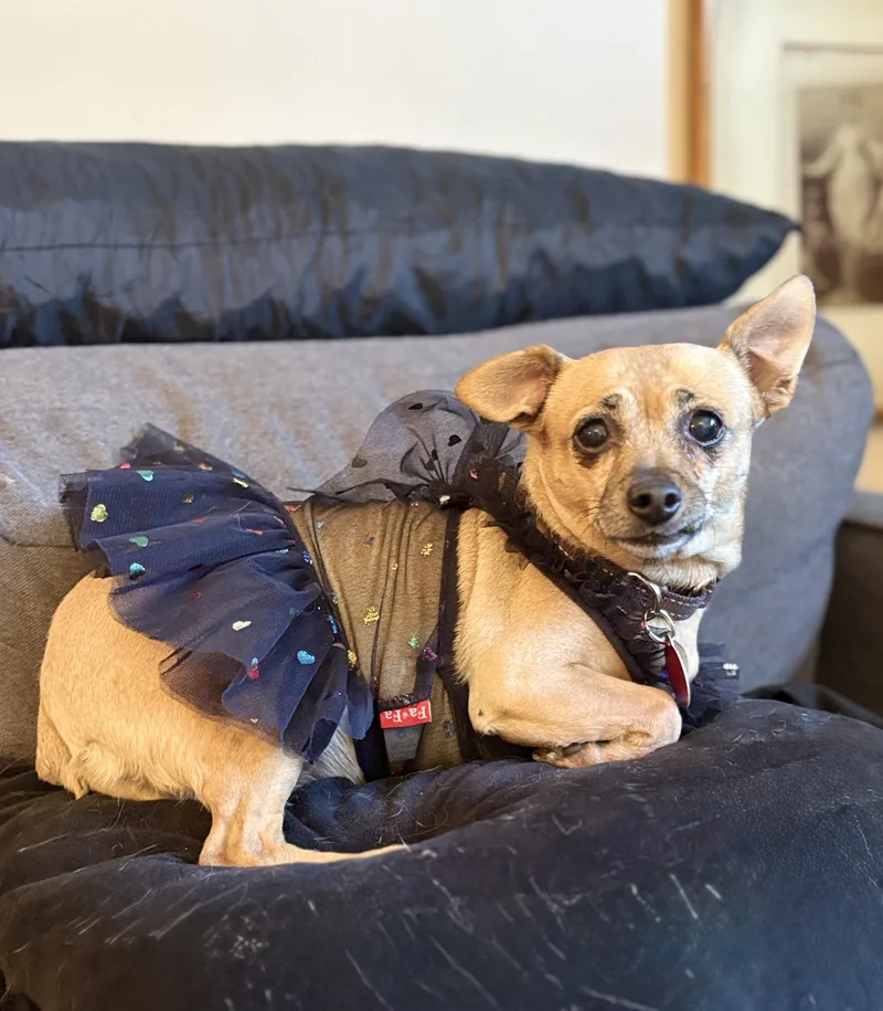 Mindy thumbnail 2