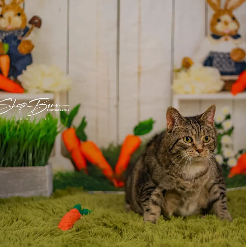 Rachelle thumbnail 2