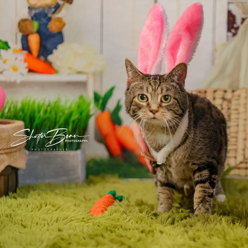 Rachelle thumbnail 4