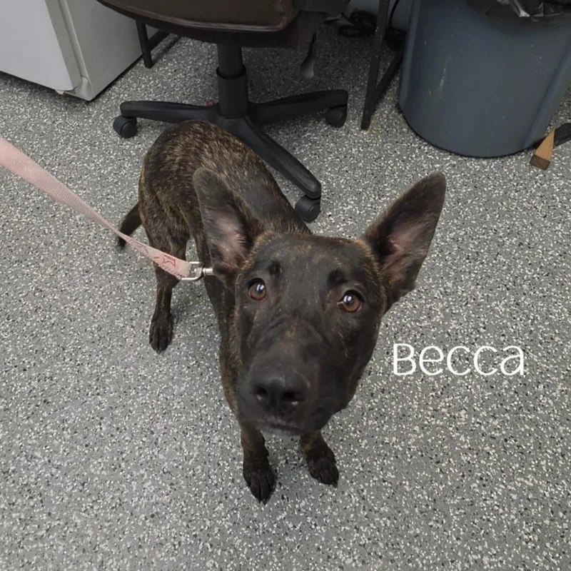Becca thumbnail 2