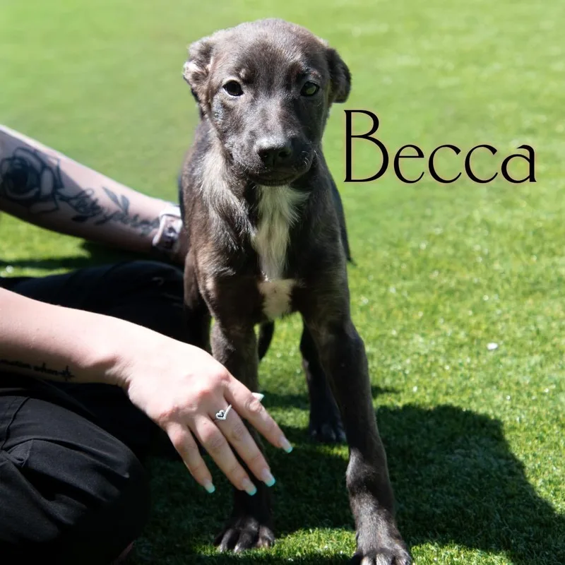 Becca thumbnail 3