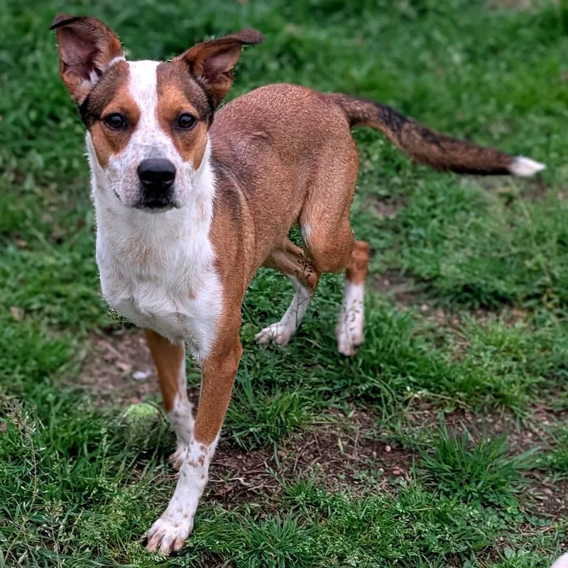 Skittles thumbnail 2