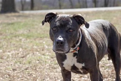 Callie May thumbnail 2