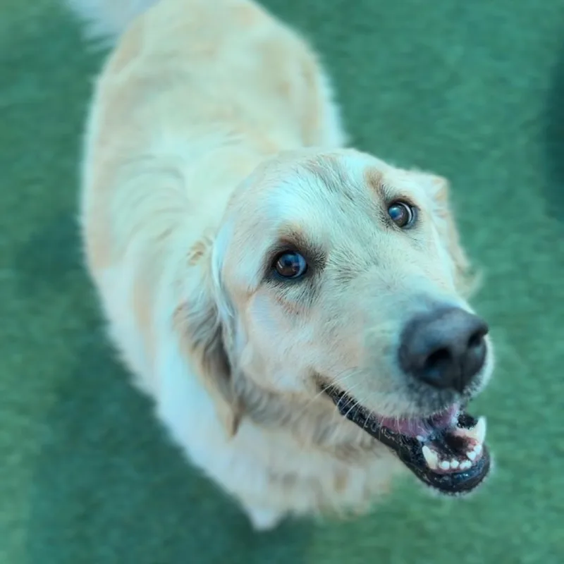 Luke A thumbnail 6