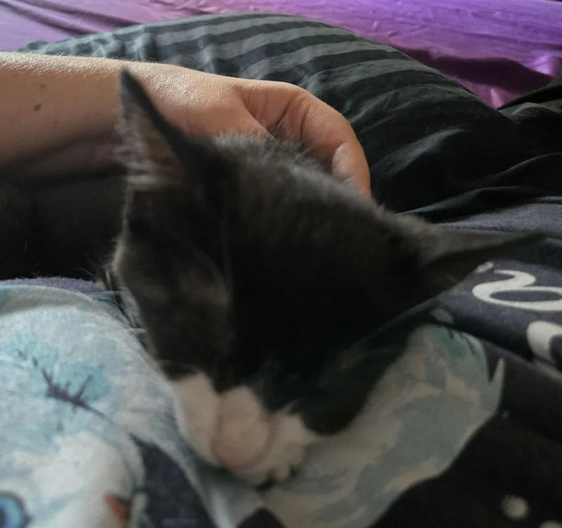 Chloe thumbnail 2