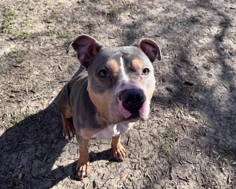 Sunday A thumbnail 2