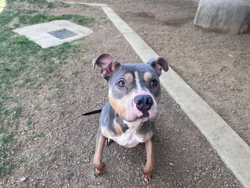 Sunday A thumbnail 3