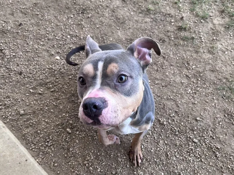 Sunday A thumbnail 4