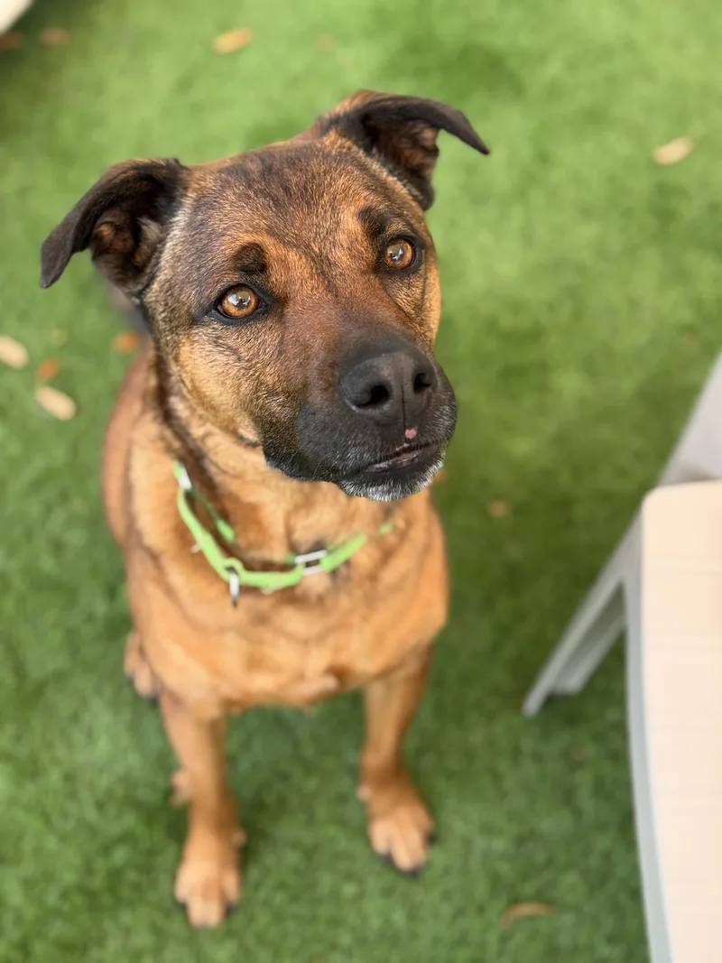 Benny