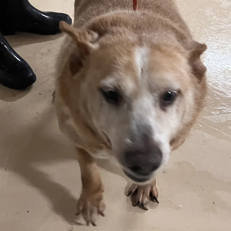 Solovino thumbnail 2