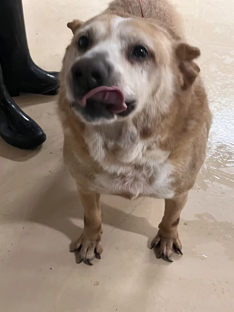 Solovino thumbnail 3