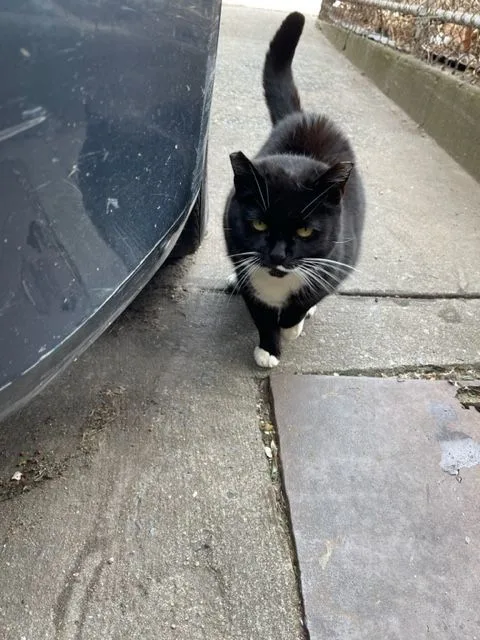 Jenny From The Block