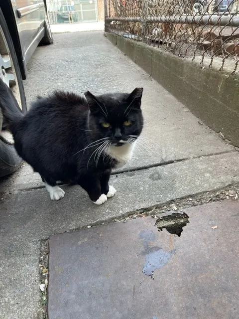 Jenny From The Block thumbnail 2