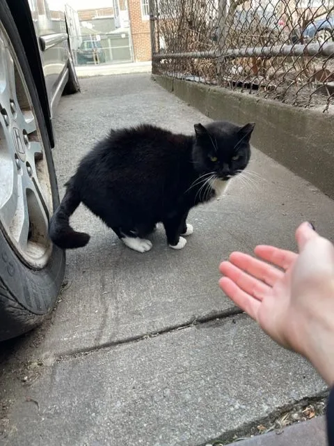 Jenny From The Block thumbnail 3