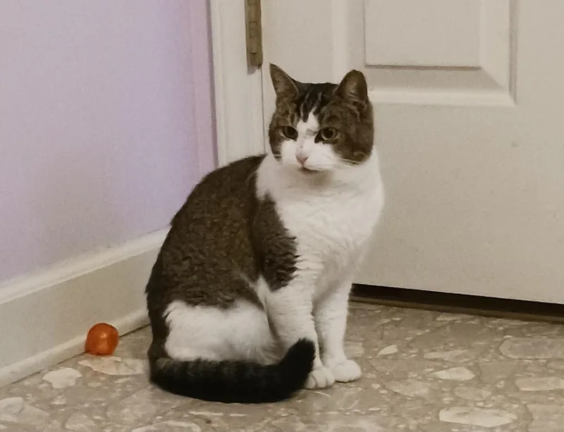 Princess thumbnail 2