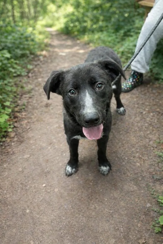 Midnight thumbnail 2