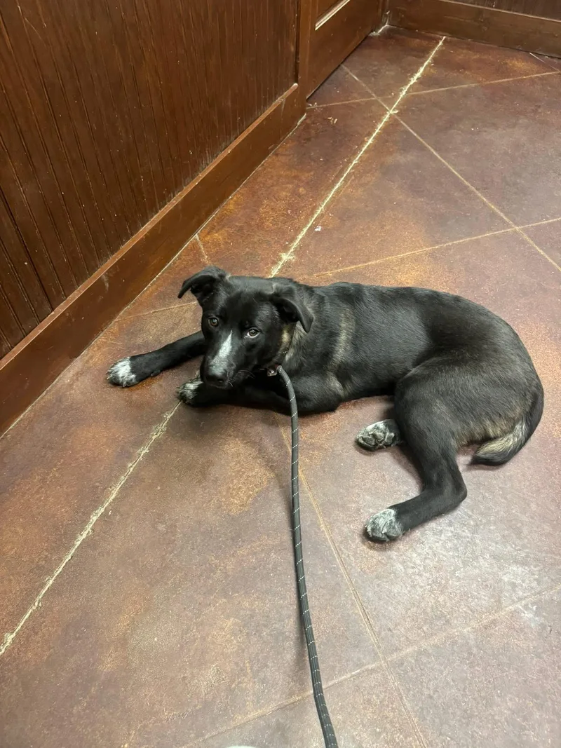 Midnight thumbnail 3