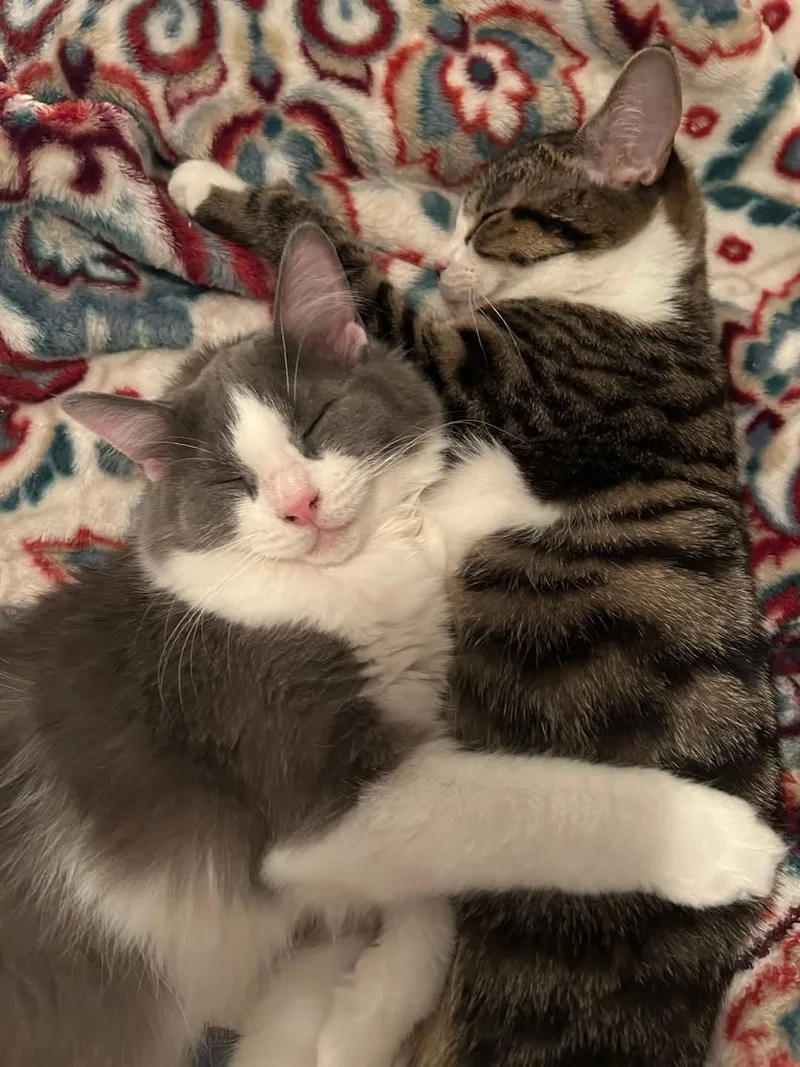 Arya & Sansa thumbnail 5