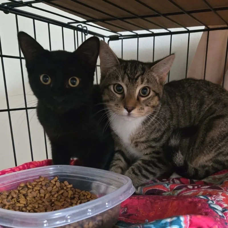 Kurt Russell thumbnail 2