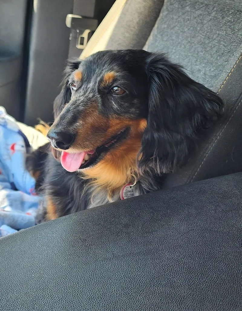 Franky In Tn thumbnail 2