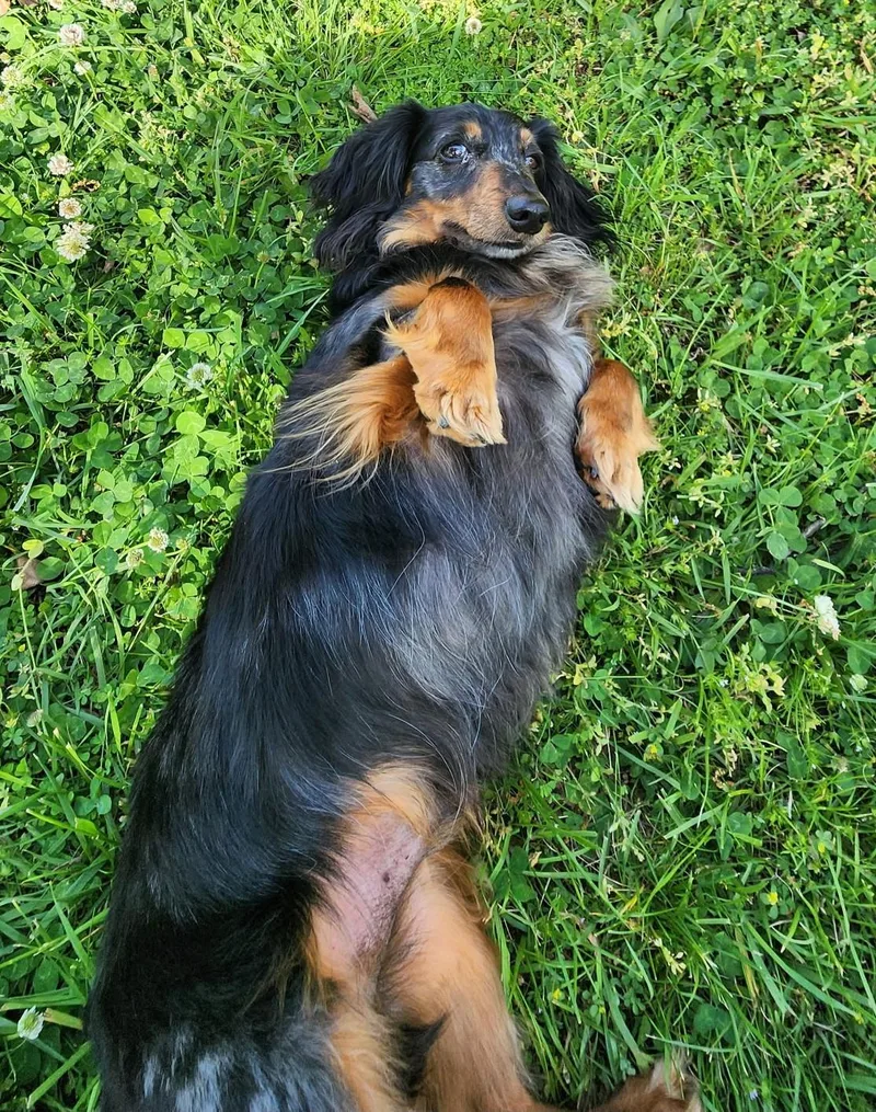 Franky In Tn thumbnail 3