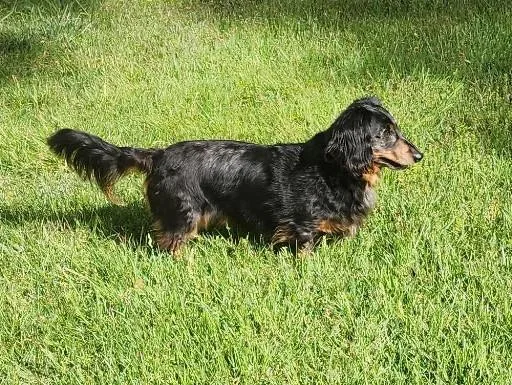 Franky In Tn thumbnail 4