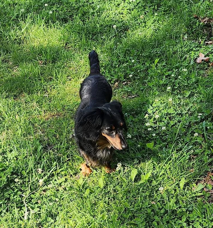 Franky In Tn thumbnail 5