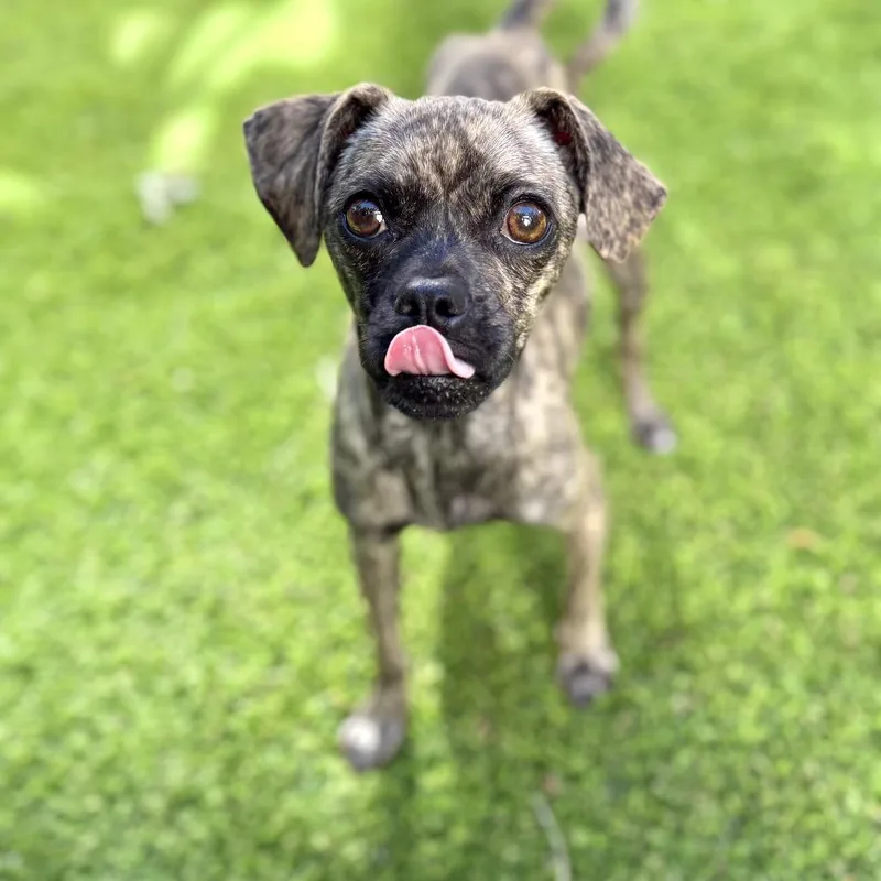 Sandi Eggo thumbnail 2