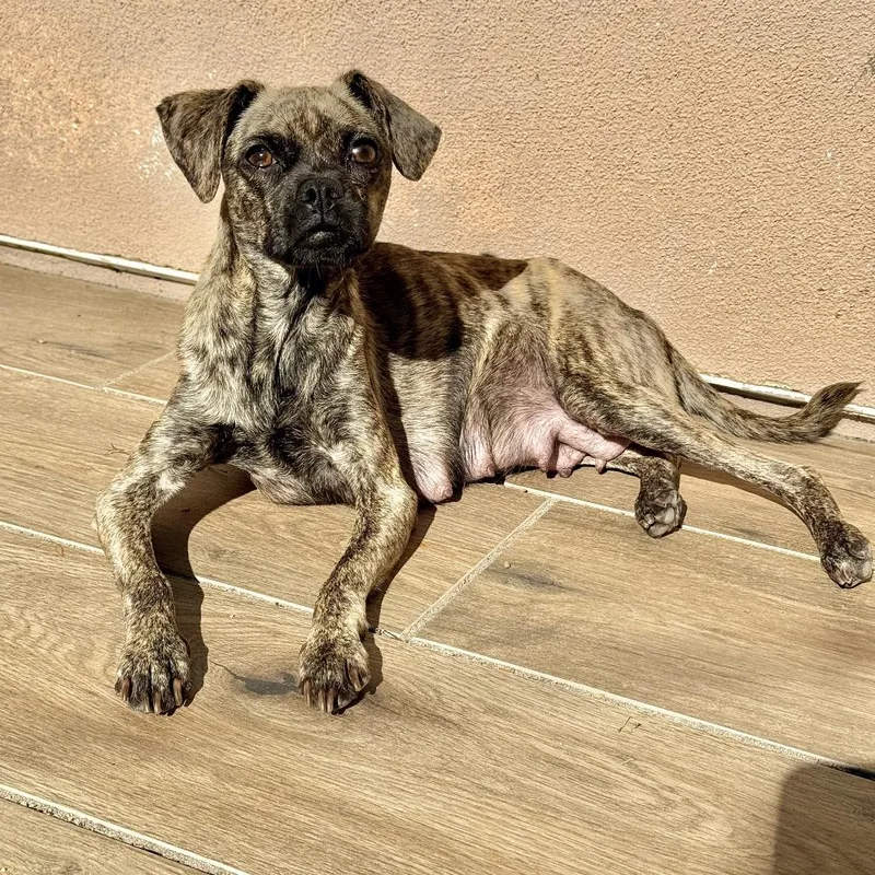 Sandi Eggo thumbnail 3